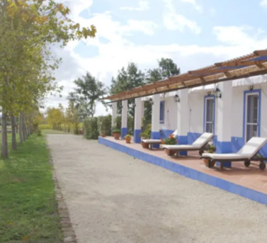 New York, Health, Ibogaine Treatment Centers