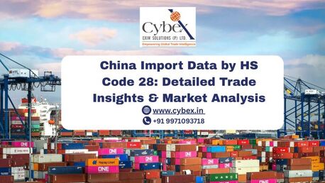 Noida, Business, China Import Data By HS Code 28: Detailed Trade Insights & Market Analysis