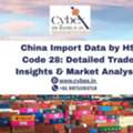 China Import Data By HS Code 28: Detailed Trade Insights & Market Analysis