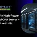 Affordable High-Power Dedicated CPU Server &ndash; Hostnetindia