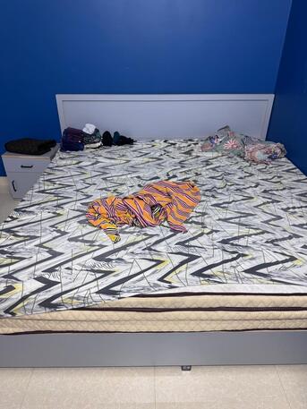 Riyadh, Appliances, SAR 17000,  All Housing Appliances