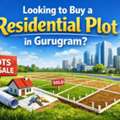 Looking To Buy A Residential Plot In Gurugram?