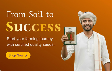 Pune, Farm & Garden, Buy Quality Farming Seeds Online &ndash; Buy Vegetable Seeds Online From Dharti Beej