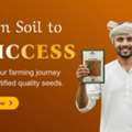 Buy Quality Farming Seeds Online &ndash; Buy Vegetable Seeds Online From Dharti Beej