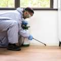 Trusted Pest Control Services Lebanon Offered By Velvet Services