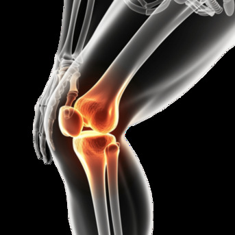 London, Health, MRI Of Knee Joint &ndash; Accurate Joint Imaging & Fast Appointments | Book Now +44 203 011 1788