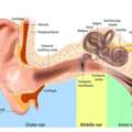 Hearing Loss Treatment In Ghaziabad