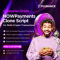 BRL 1, Build A Global Crypto Payment Network With NOWPayments Clone Script