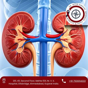 Ahmedabad, Health, Expert Kidney Cancer Surgeon In Ahmedabad &ndash; Dr. Nitin Singhal