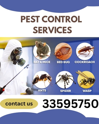 Manama, Pest Control, Pest Control Services Contact Us 33595750