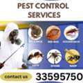 Pest Control Services Contact Us 33595750