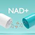 NAD Nicotinamid &ndash; Aktivierung Der Zellenergie F?r Mehr Vitalit?t