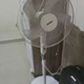 SAR 60,  Table Fan Urgent Sale