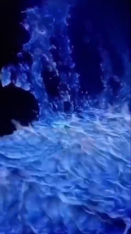 Jakarta, Travel, Tour Travel To Bromo, Tumpak Sewu And Kawah Ijen