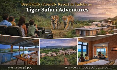 Nagpur, Travel, Best Family-Friendly Resort In Tadoba For Tiger Safari Adventures