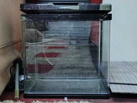 Riyadh, Heavy Equipment, SAR 250,  Trademill,aquarium