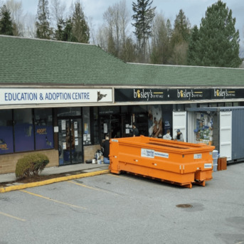 Vancouver, Construction, Drywall Disposal Services In Surrey & Vancouver &ndash; Recycling & Dumpster Options