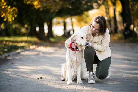 Lucknow, Pet Sitting, Dog Walkers In Lucknow