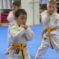 Checkout The Child’s Martial Arts Classes Of AMAF Australia