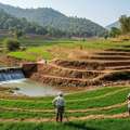 Supporting Watershed Management In India For Long Term Impact