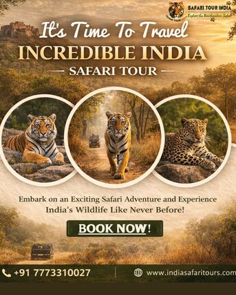 Mumbai, Travel, Ranthambore Safari Online Booking &ndash; Safe & Verified Safari Tours With Safari Tour India