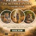Ranthambore Safari Online Booking &ndash; Safe & Verified Safari Tours With Safari Tour India