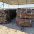 SAR 28,  Pure Titanium Scrap For Sale 1800 Tons