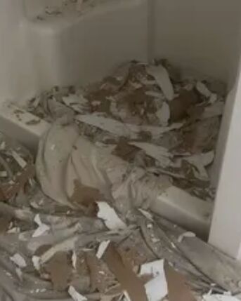 New York, Businesses For Sale, Emergency Junk Removal Service In Rockport