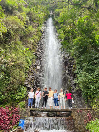 Bali, Business, Affordable Bali Retreats For Wellness And Relaxation