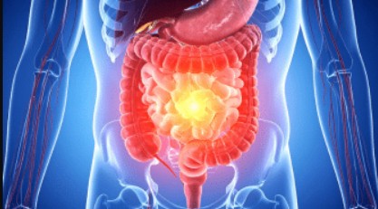 Paris, Medical, Denali Specialty Clinic