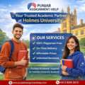 Holmes University Assignments Made Simple, Smart, And Stress-Free