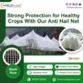 Strong Protection For Healthy Crops With Our Anti Hail Net