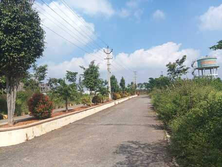 Hyderabad, Residential Plots, INR 45999,  360 Sq. Yard,  Plots For Sale In Tukkuguda Hyderabad 9701498367