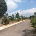 INR 45999,  120 Sq. Yard,  Ready To Construction Plots In Tukkuguda Hyderabad 9701498367