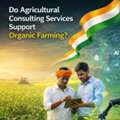 Do Agricultural Consulting Services Support Organic Farming?