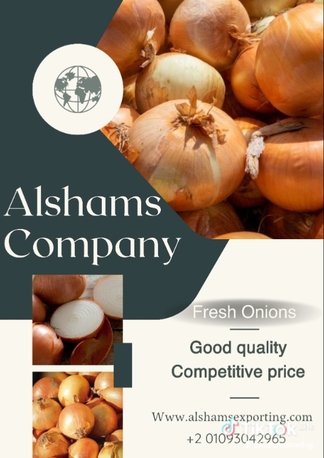 Quito, Farm & Garden, PREMIUM GPLDEN ONION