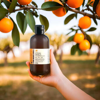 New York, Business, Shop Premium Body Care Products For Smooth, Nourished Skin