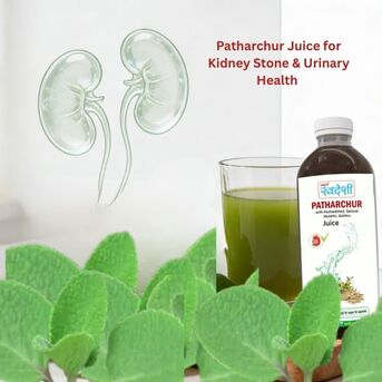 Mumbai, Health & Beauty Items, INR 762,  Patharchur Juice For Kidney Stone & Urinary Health | Sampuran Swadeshi
