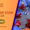 Kaal Sarp Dosh Puja | Kaal Sarp Dosh Puja Cost