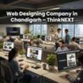 Web Designing Company In Chandigarh &ndash; ThinkNEXT