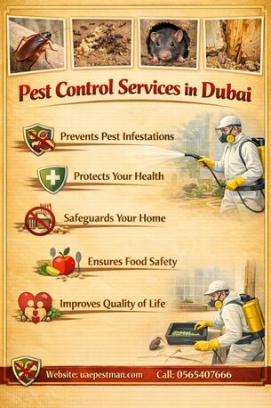 Dubai, Pest Control, Pest Control In Dubai | UAE Pest Man