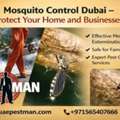 Effective Mosquito Pest Control Dubai By UAE Pest Man