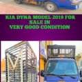 SAR 60000,  Kia Dyna 2019,  2019,  Manual,  295 KM,   For Sale In Very Good Condition