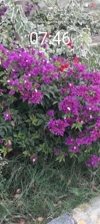 Hyderabad, Apartments/Houses, INR 165000/month,  3 BR,  G+2 Independent House For @ Attapur- Hyderabad