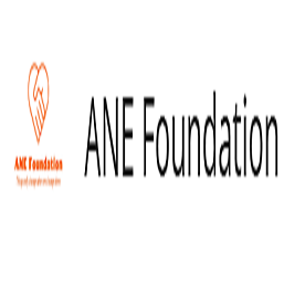 New York, Business, ANE Foundation