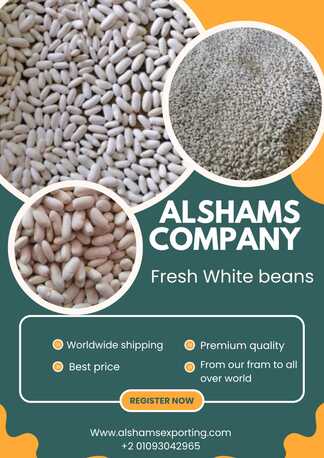Erbil, Farm & Garden, WHITE BEANS