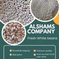 WHITE BEANS