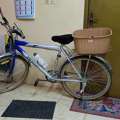 SAR 375,  I Would Like To Sell Bicycle