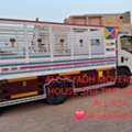 ALL RIYADH MOVERS PACKERS CLEANERS AND PEST CANTROLTOTAL SOLUTION BEST PRICE