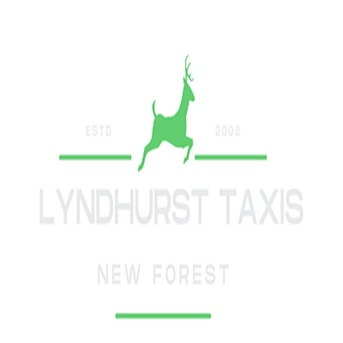 London, Business, Lyndhurst Taxis